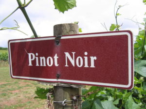 California Pinot Noir